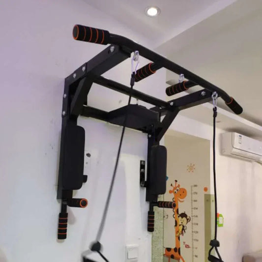 Wall Mounted Pull-Up Bar, Two Finishes